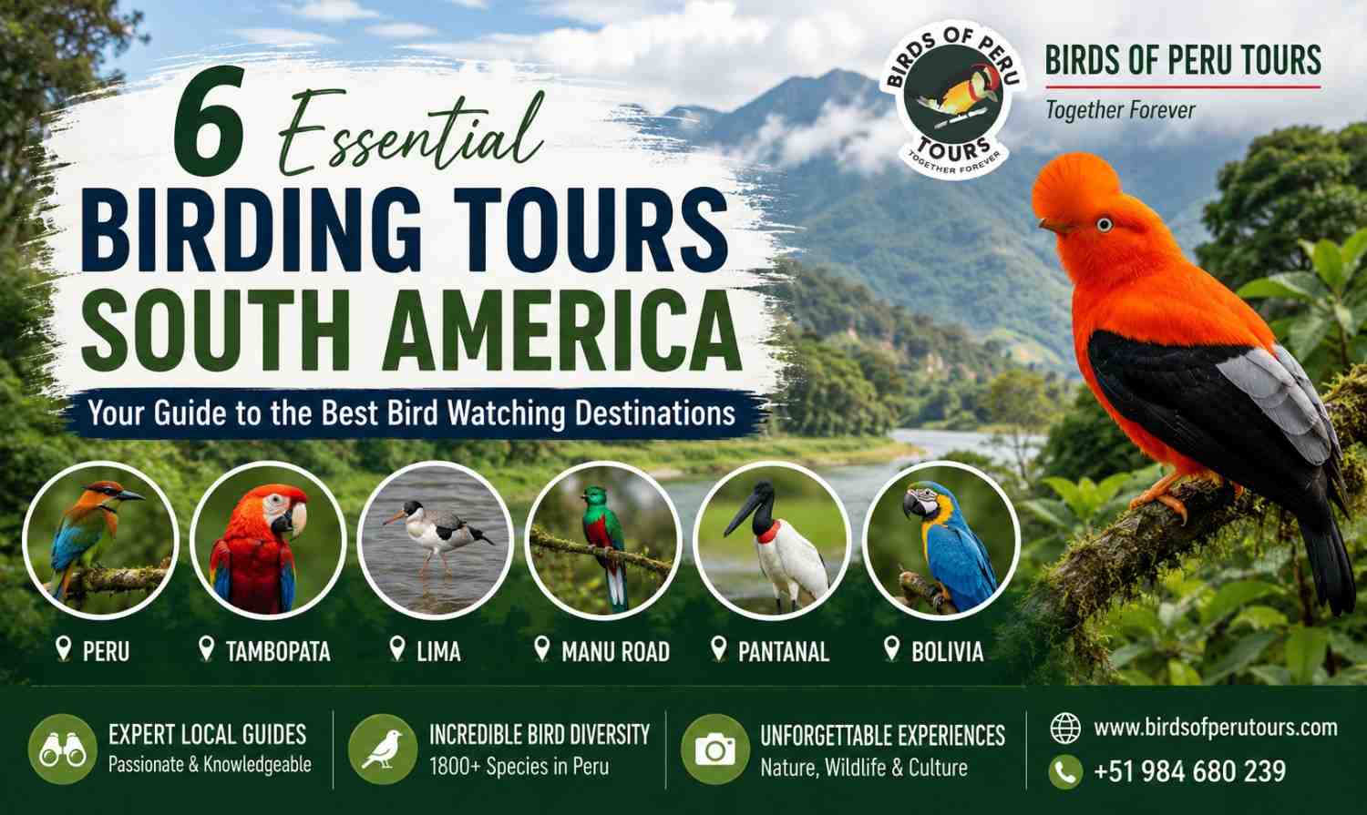 6 Essential Birding Tours South America Guide for 