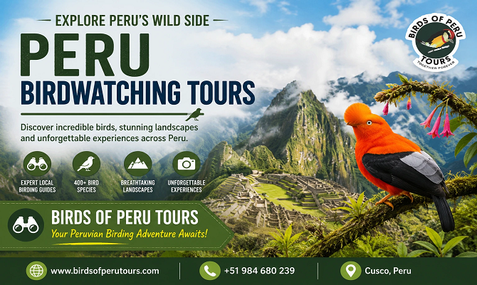 The Ultimate Guide to Peru Birding Tours